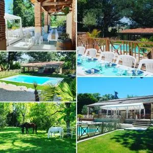 普霍尔旅馆 - 拉贝格