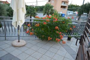 Apartmani Katica