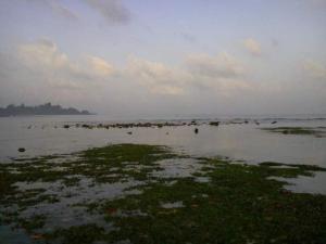 Bungalow on the Beach. Great Sunset. relaxing place