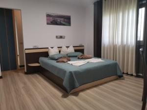 Apartment with Terrace room in Pensiunea Almada