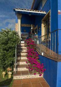 LOFT OIA - ES UNA FILOSOFIA DE VIDa