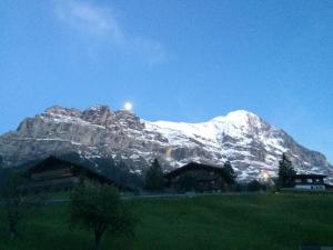 Luxury, new - amazing views Grindelwald Eiger Jungfrau Mönch