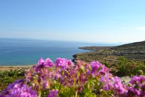 Villa Ioanna Tinos Greece