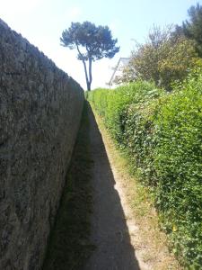 Maisons de vacances Gite a 50m de la mer par chemin pietonnier ! : photos des chambres