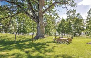 Gorgeous Home In Tranås With Kitchen