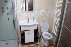 Double Room with Private Bathroom room in Pensiunea Diana