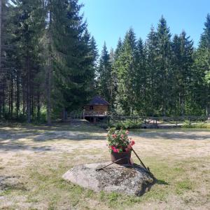 Domek ŠMITI (( Čūskumuiža )) Łotwa