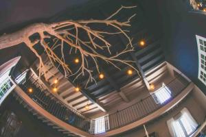 B&B / Chambres d'hotes Une Autre Histoire : photos des chambres