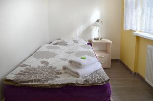 Single Room with Shared Bathroom room in Lázeňský dům Praha
