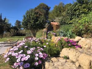 Maisons d'hotes Maisonnette et piscine : photos des chambres