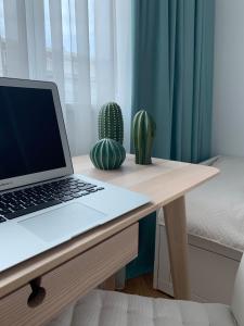 Apartment Galleria 