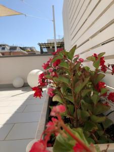 Glamroom Luxury Terrace