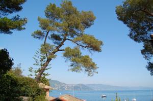 Portofino Seaview Apartment, 50 meters from the beach, free parking, air conditioning