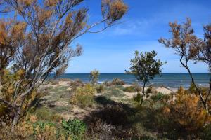 Sector 5 Napols AP844