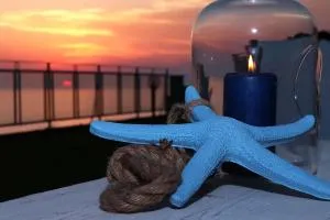 Sunset House - Anzio