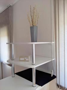 Lux Studio Apartment Vidanovic