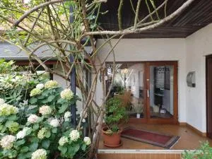 Hotel Römerhof - Scheidterberg