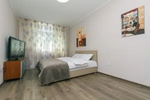 Новая современная квартира на ул.Елены Пчелки - 鲍里斯皮尔