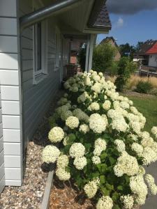 Schwedenvilla Estelle