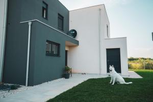 Apartment ENJOY BLUE, with pool & pets welcome