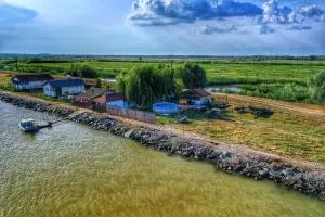 La Nea Paul - Partizanii