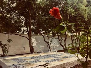 ERPI VACANZE DI PALMATE CINZIA