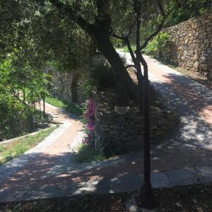 Villa Olivari - apt la Lavanda