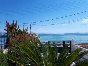 Ocean's Heart Agistri Greece