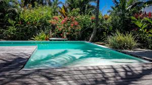 Villa Strelitzia Cabarete