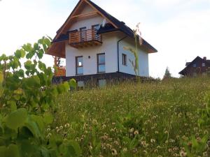 Apartm&aacute;n Apartament z kominkiem i wanną Istebna Polsko