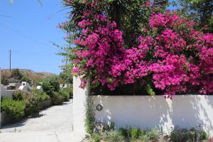 Pension Ioanna