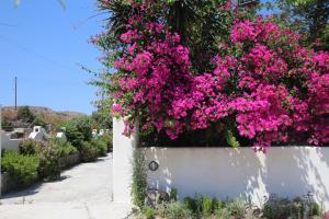 Pension Ioanna Milos Greece