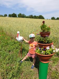 Садиба "Банька біля джерела"