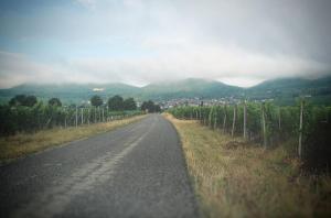 Maisons d'hotes La belle alsacienne - Route des vins d'Alsace : photos des chambres