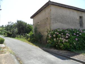 B&B / Chambres d'hotes U CAMPANA : photos des chambres