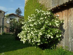 B&B / Chambres d'hotes U CAMPANA : photos des chambres