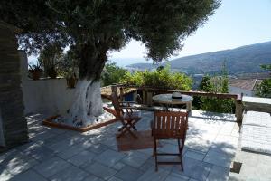 ALBA ANDROS TRADITIONAL VILLA - 1 Andros Greece