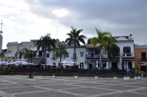 Canapalma Zona Colonial
