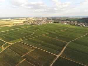 Sejours chez l'habitant Les portes du vignoble : photos des chambres