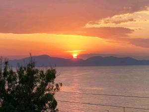 Fistiki Apartment - Sea view and island charm Aegina Greece