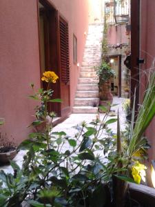 Il Cortile Fiorito