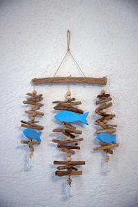 New Aurora Apts Studios