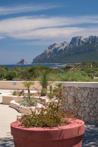 Hotel Ollastu img13