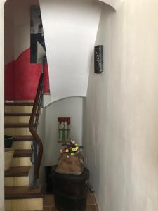La terraza