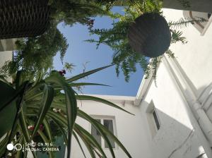 The best in the center of Tarifa 2
