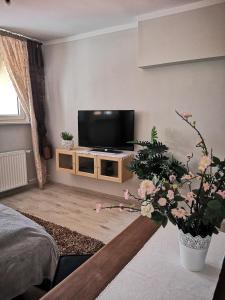 Apartement Przy ratuszu Świebodzin Poola