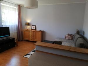 Apartament Sosnowy