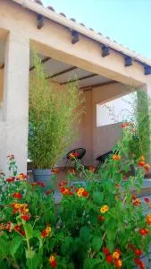 Mora Dell Onda - Fossi