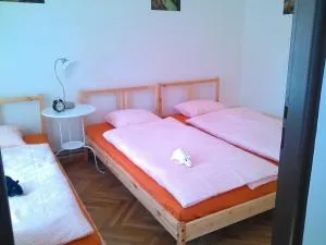 UBYTOVÁNÍ SVOJANOV - Študlov