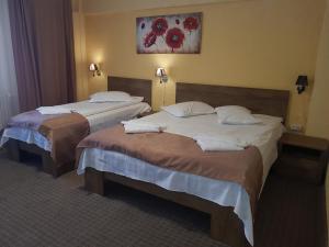 Cabana Fulg De Nea Predeal